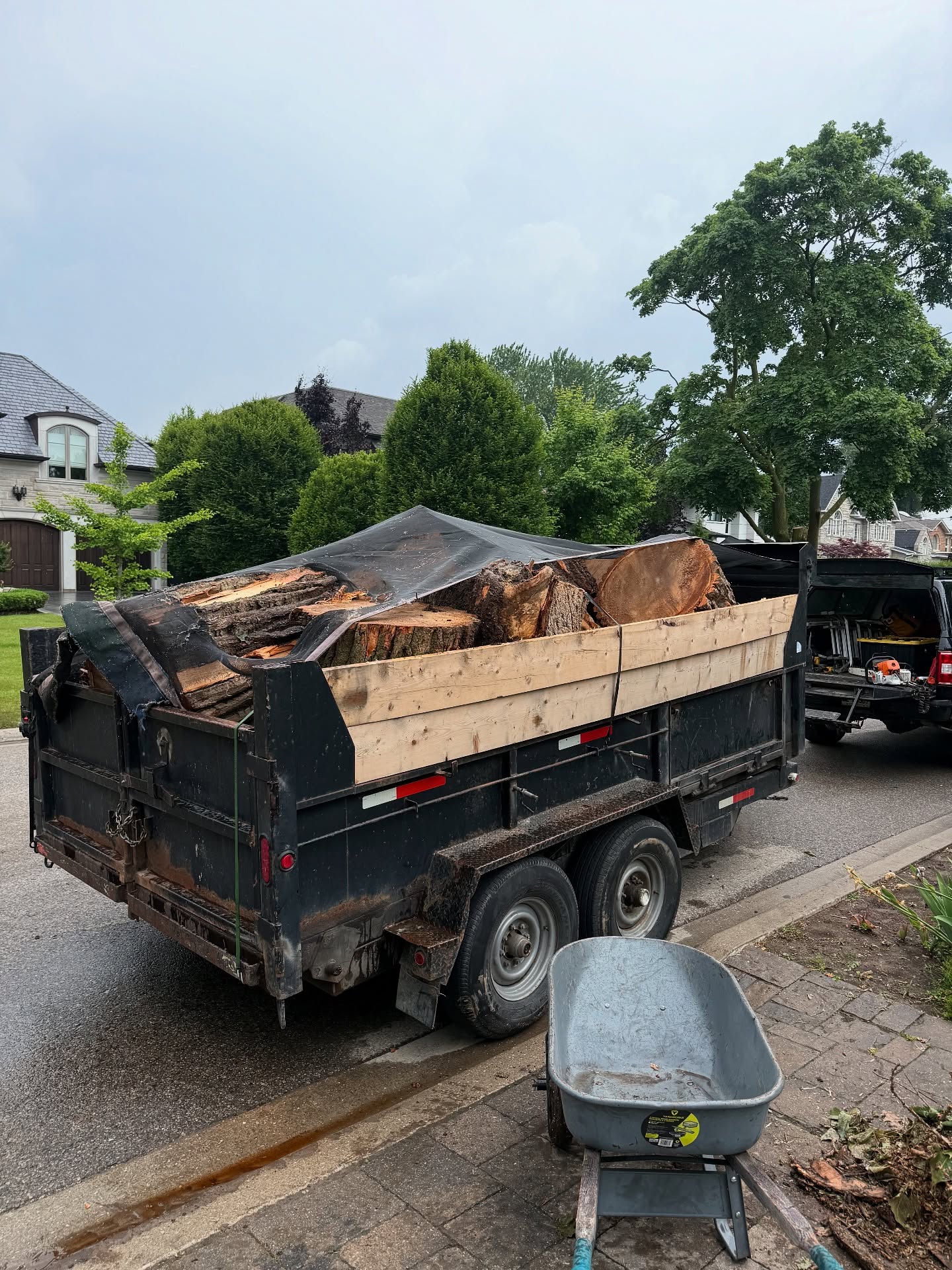 Loaded trailer after a full tree removal job in Ontario