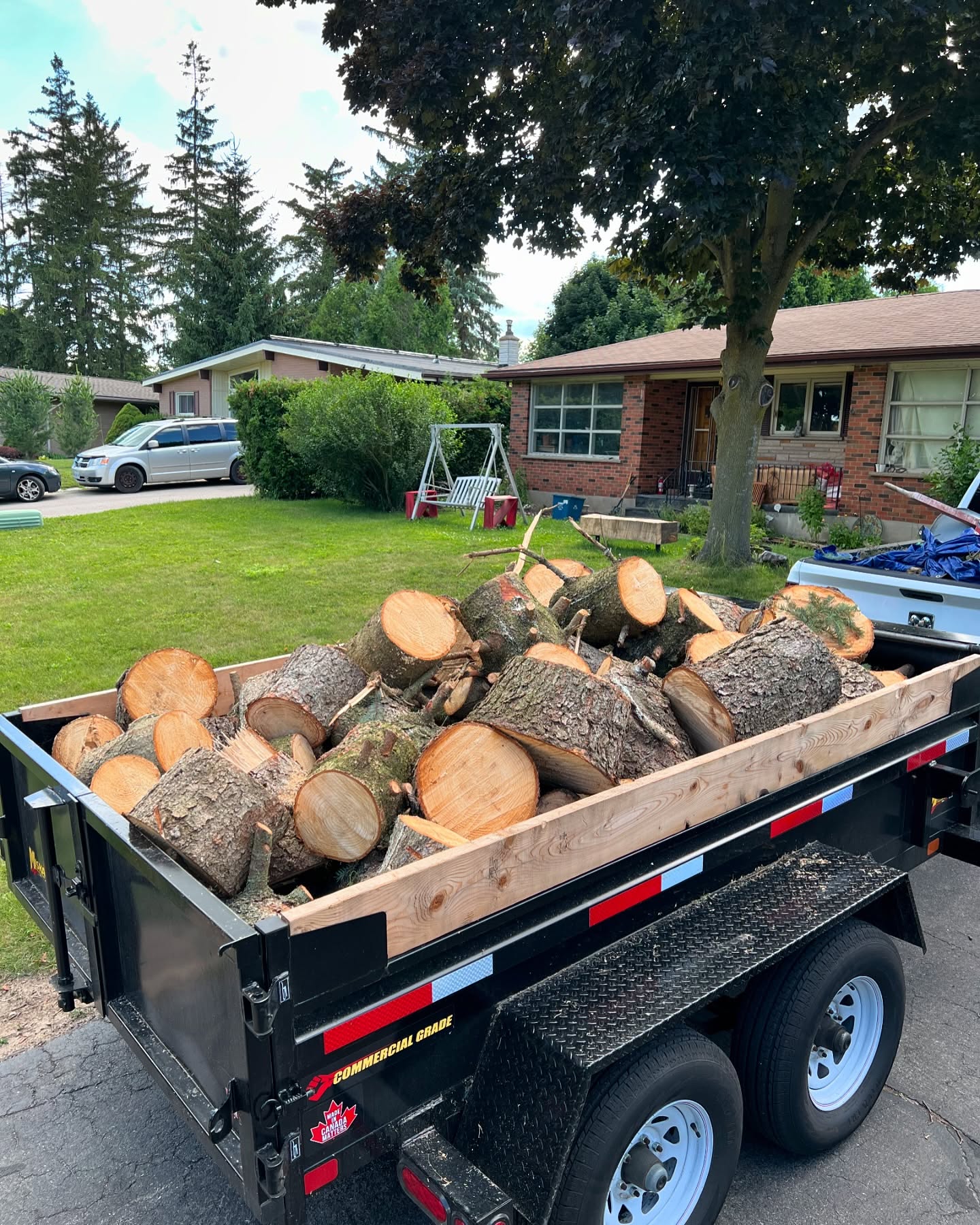 River Oak Tree Service recent work 2
