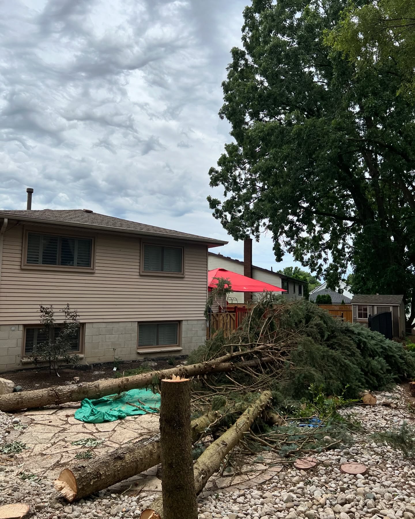 River Oak Tree Service recent work 3